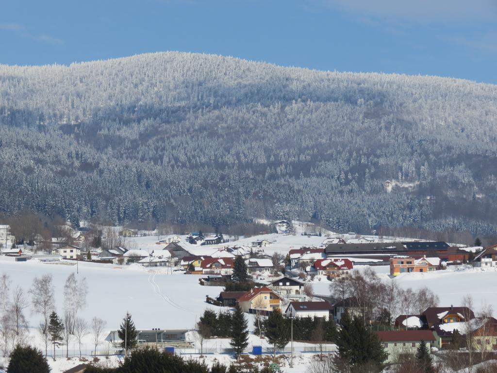 Apartment Bohmerwald Pur2